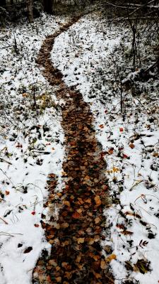 Прикрепленное изображение: PicsArt_1411877363029.jpg